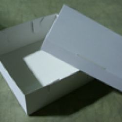 Tortu kastes 12x10x6 kartona/100gb-2kg